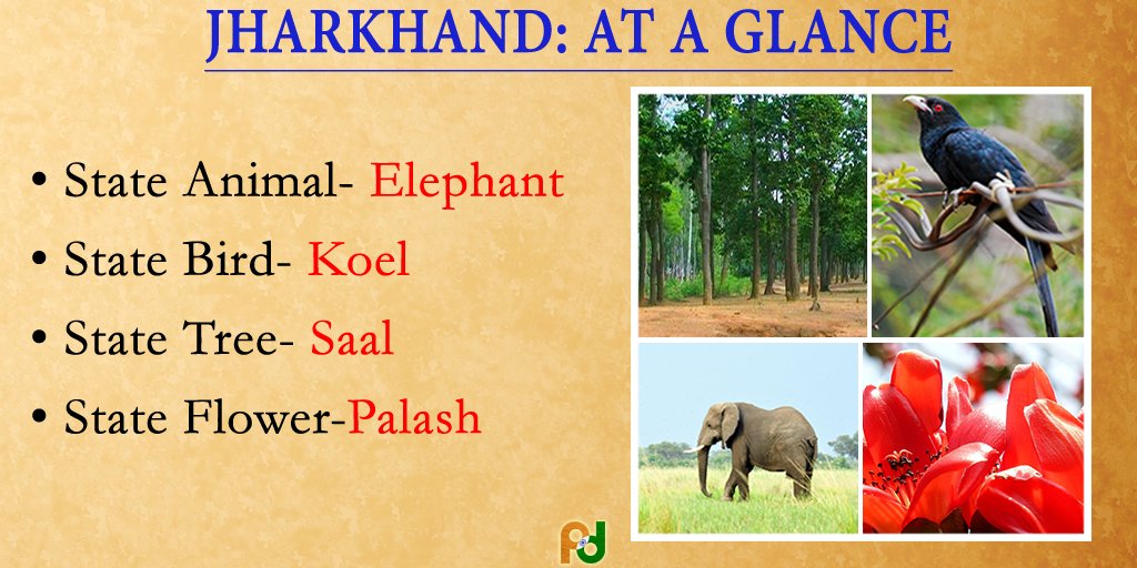 Top 189 + National animal of jharkhand - Lifewithvernonhoward.com