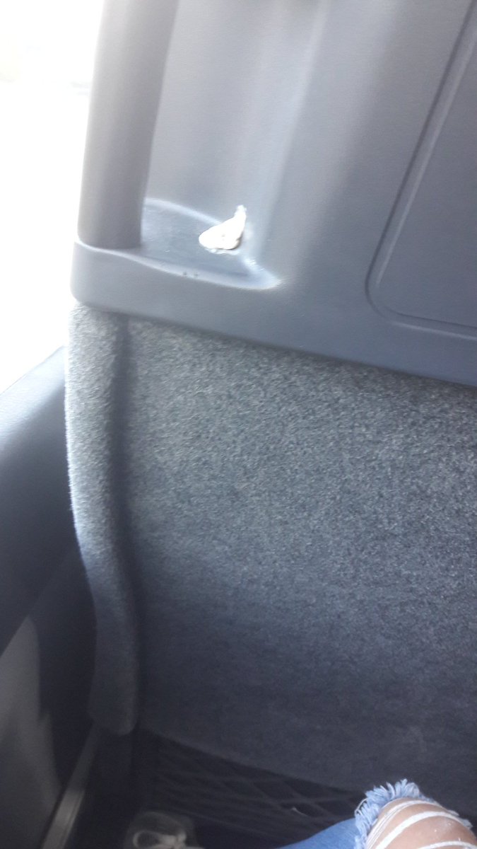 saltMariaa's tweet photo. Koji kurac se dogodi ljudima ? #croatiabus https://t.co/bmZARZp9Al