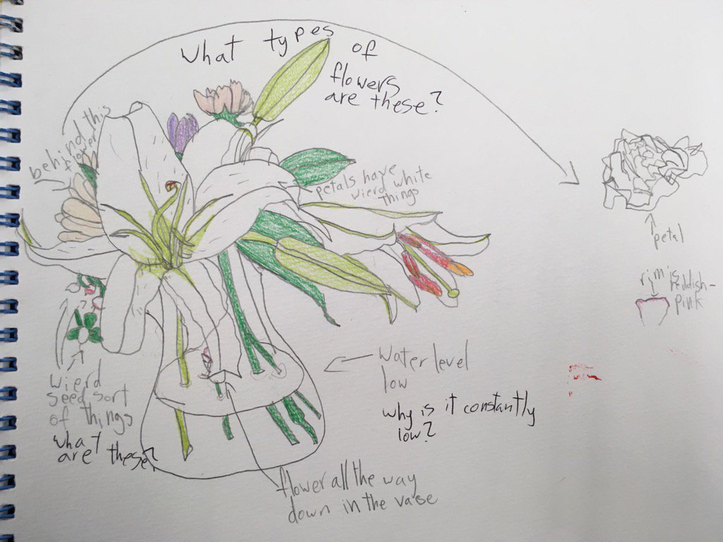 MSTokyoWillow's tweet photo. Careful observation and drawing of our classroom flowers #MSTbotany https://t.co/p9wHGtC6DX