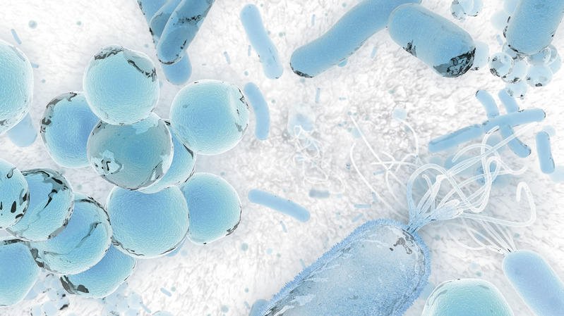 QIAGENscience's tweet photo. Want to improve your microbiome research? Visit us #IBMSCongress2017 booth 921, Hall 4: https://t.co/98x9SXCYK6 https://t.co/doaZRMeIyk