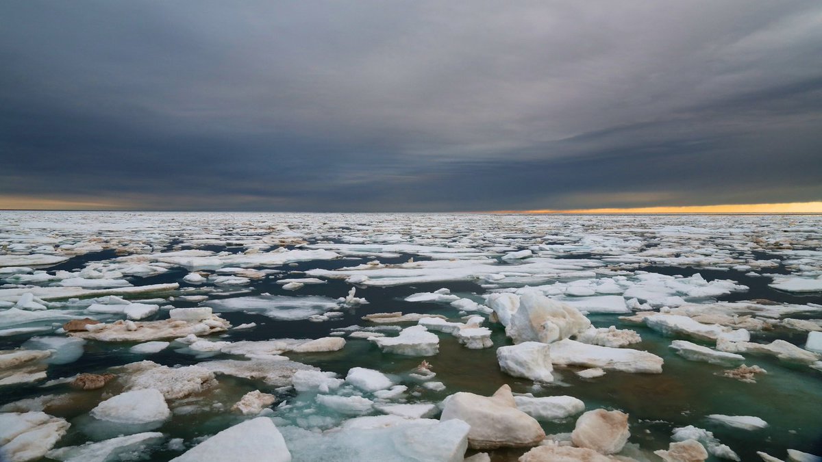 EcoDaily_Org's tweet photo. Irish Response to Climate Change ‘Woefully Inadequate’, say NGOs - https://t.co/EopCztLlul https://t.co/krIa9XbjFj
