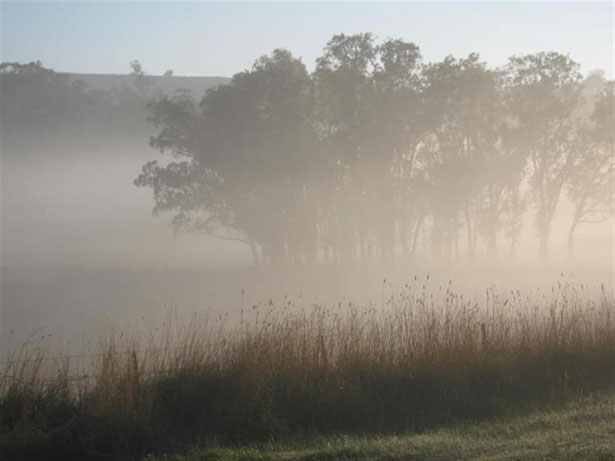 It's a foggy morning out there people, lights on, drive safe and then come to see us for lovely warming drink! #Blend