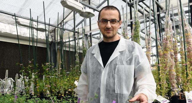 CNRS 🌍 (@cnrs) on Twitter photo #CNRSInnovation <a href="/micropep/">MicropepTechnologies</a> Technologies : des mini-protéines naturelles pour moduler la croissance des plantes bit.ly/2xhXHRH #CNRSInnovation <a href="/micropep/">MicropepTechnologies</a> Technologies : des mini-protéines naturelles pour moduler la croissance des plantes bit.ly/2xhXHRH