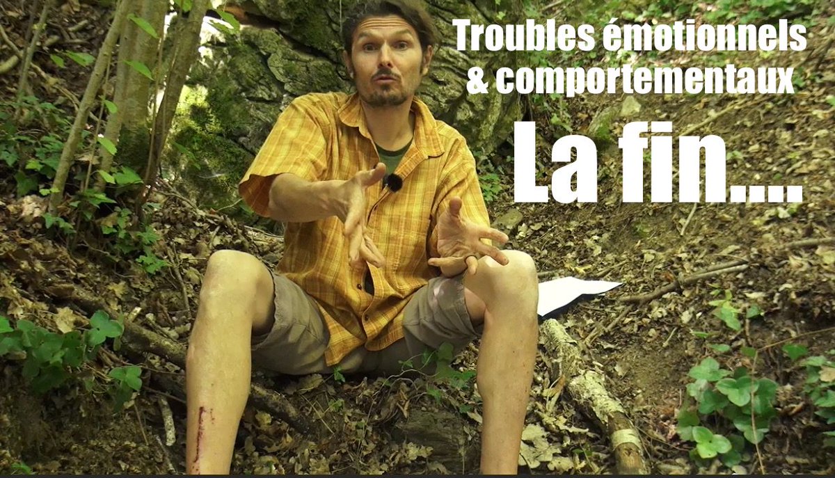PLUS JAMAIS DE TROUBLES ÉMOTIONNELS ET COMPORTEMENTAUX ! ÉPISODE 4 regenere.org/videos/le-top-…