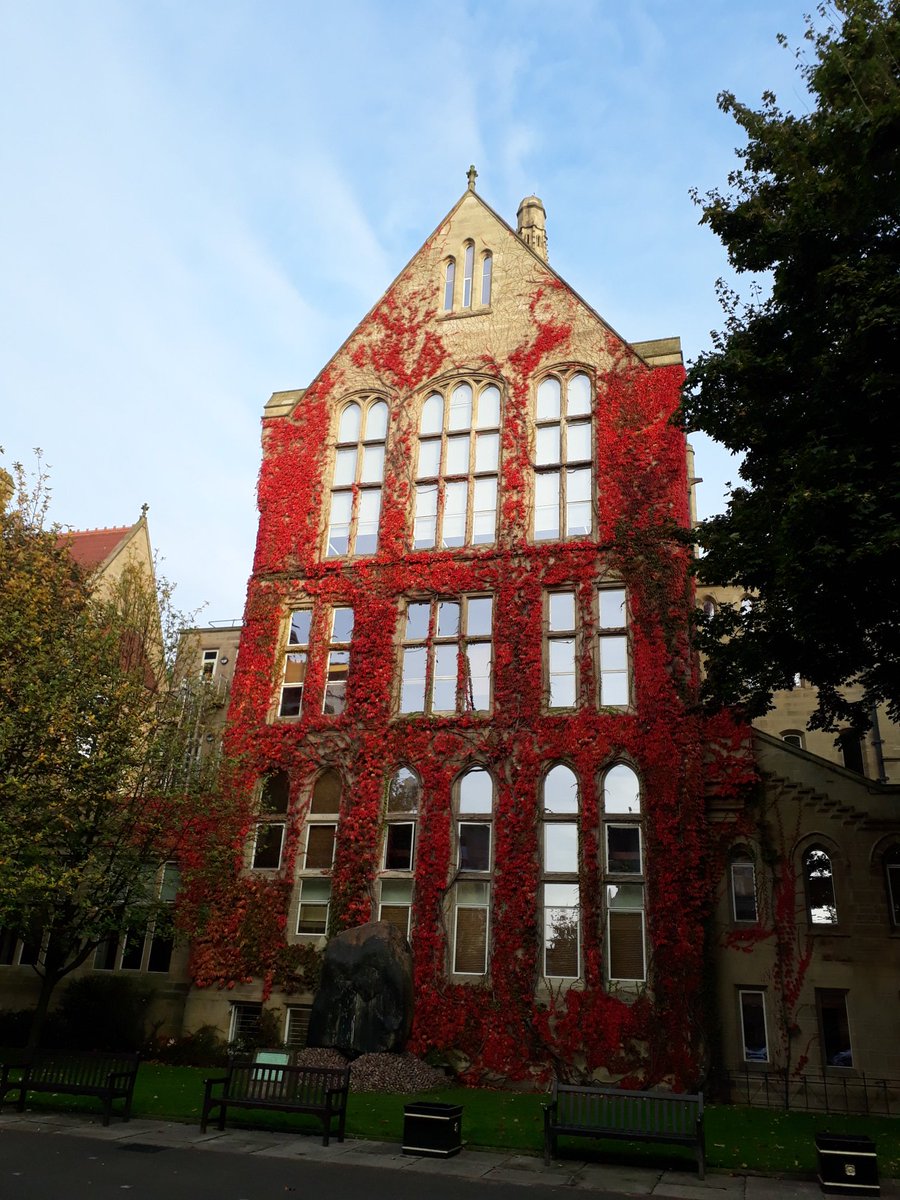 The heart of campus looking beautiful today! Happy (academic) New Year to all our students! <a href="/UoMSALC/">School of Arts, Languages and Culture</a> <a href="/uomsalcstudents/">UoMSALCStudents</a>