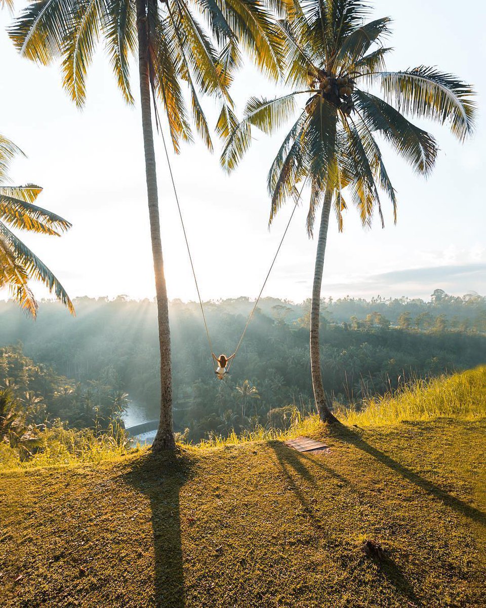 How #brave are you? A #swing take you to the #jungle at #AyungRiver, #Ubud! Pic via explorebali #bali #holiday #vacation #indonesia