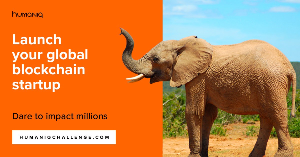 FintechCH's tweet photo. @Humaniq global challenge: winners get all-paid trip to Kenya. #daretoimpactmillions #humaniqglobalchallenge https://t.co/oq47hx660Y https://t.co/COgmII6zdq