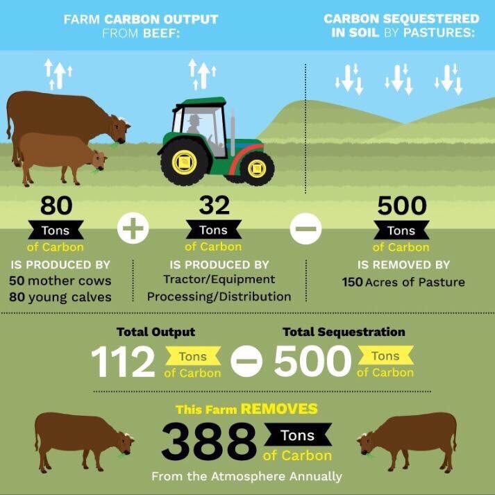 I know graphics can over simplify things &amp; I know I've put this up before. Remember the importance of pasture in the ruminant meat debate.