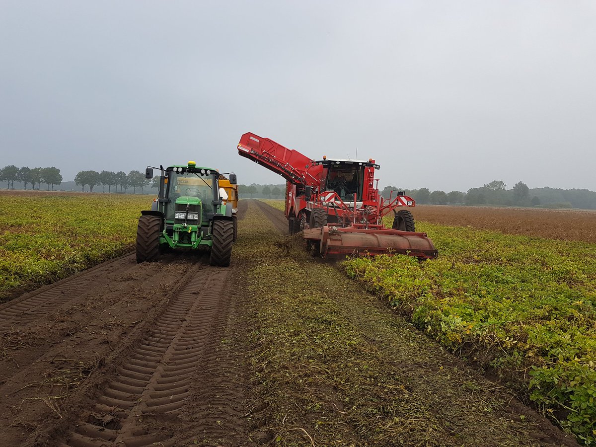 Vandaag aardappelen rooien voor Avebe met de Grimme Varitron 470 door loon- en grondverzet bedrijf Pomper