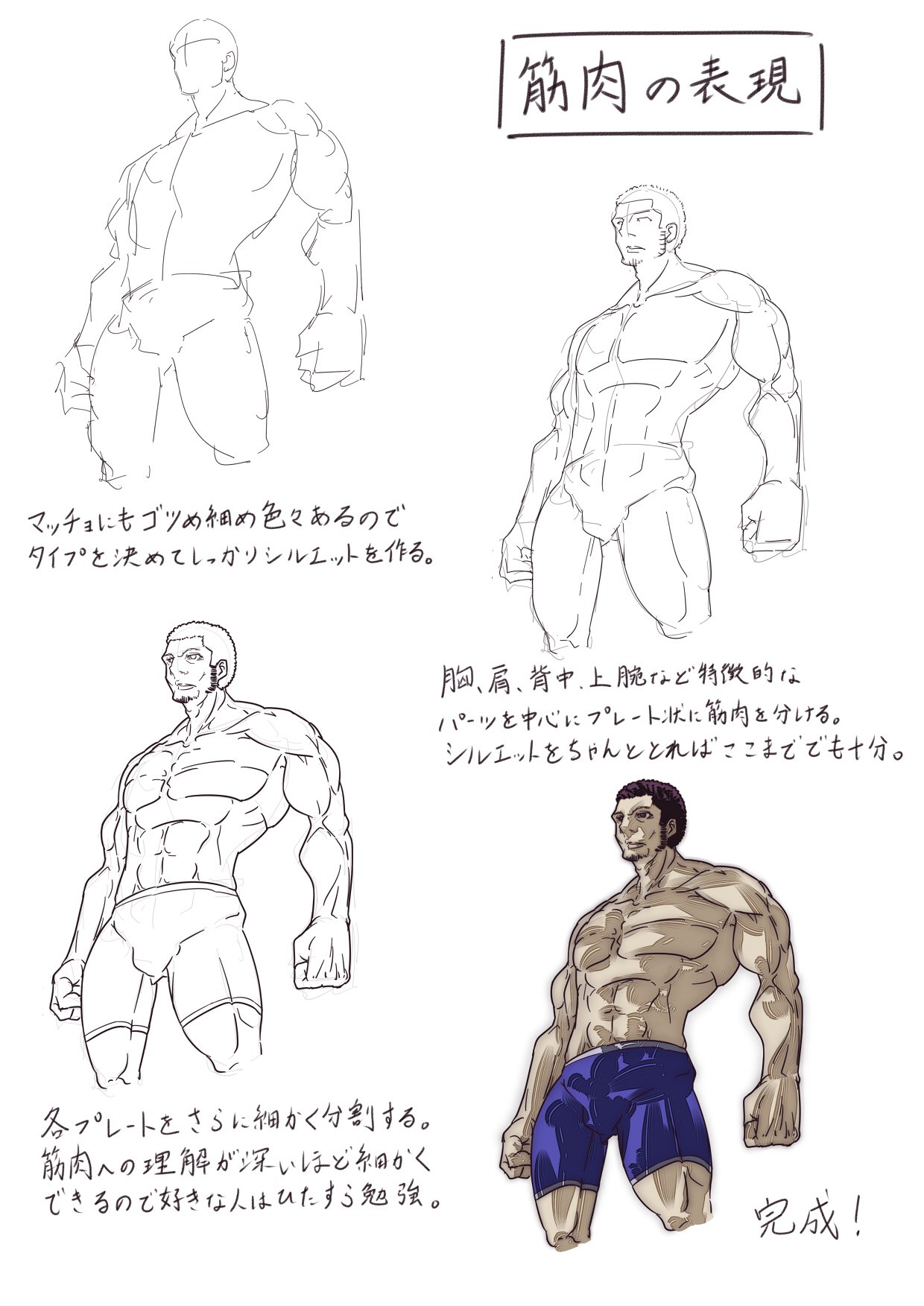 Twitter এ プロ監修 イラスト講座 筋肉の描き方 細マッチョ ゴツめのマッチョでシルエットも異なるので最初にタイプを決めたうえで描いていきましょう T Co 7p9wqmyw9r ট ইট র