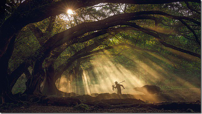 A2_GARAGE's tweet photo. #WilliamYu es un #fotógrafo #estadounidense que realiza #fotografía de #viajes.
https://t.co/jbKZYUTJUE
vía @CadaDiaUnFotogr
#Fotos #Arte https://t.co/ybsZmCjGBk