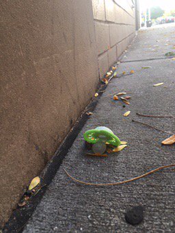 AcciInci's tweet photo. #accidentalincidentals #foundobjects #incidentals #lostandfound #lostobject  #babypacifier #bink https://t.co/4ybXpecQ5b