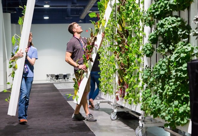 UpstartFarmers's tweet photo. What You Missed From the #UpstartFarmers at the 4th Annual #indooragcon: https://t.co/9OOFXI4aeE #ZipFarm https://t.co/KCX2p0dvzL