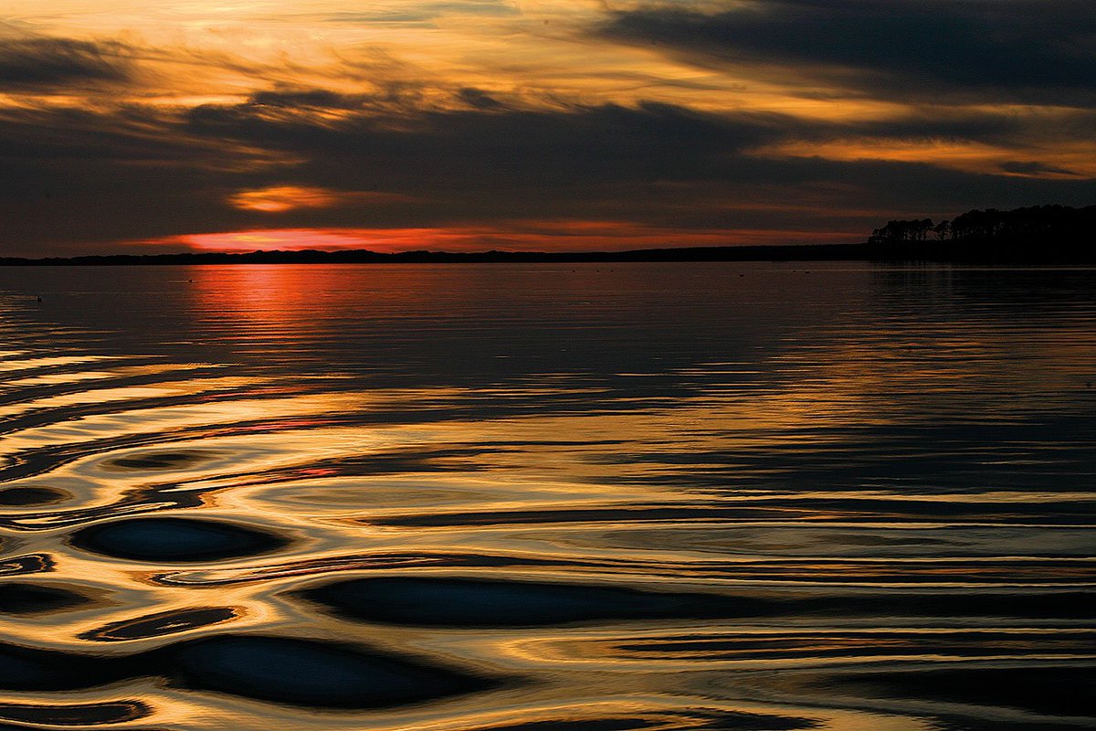 #PhotoOfTheWeek Menai Strait, Wales by <a href="/JohnBeattyUK/">John Beatty</a> from Wild <a href="/WildNatureDiary/">Wild Nature Diary</a> 2018, available now. wild-nature.co.uk/photo/week-39