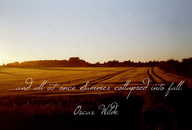 Cley Beach Cottage tweet media