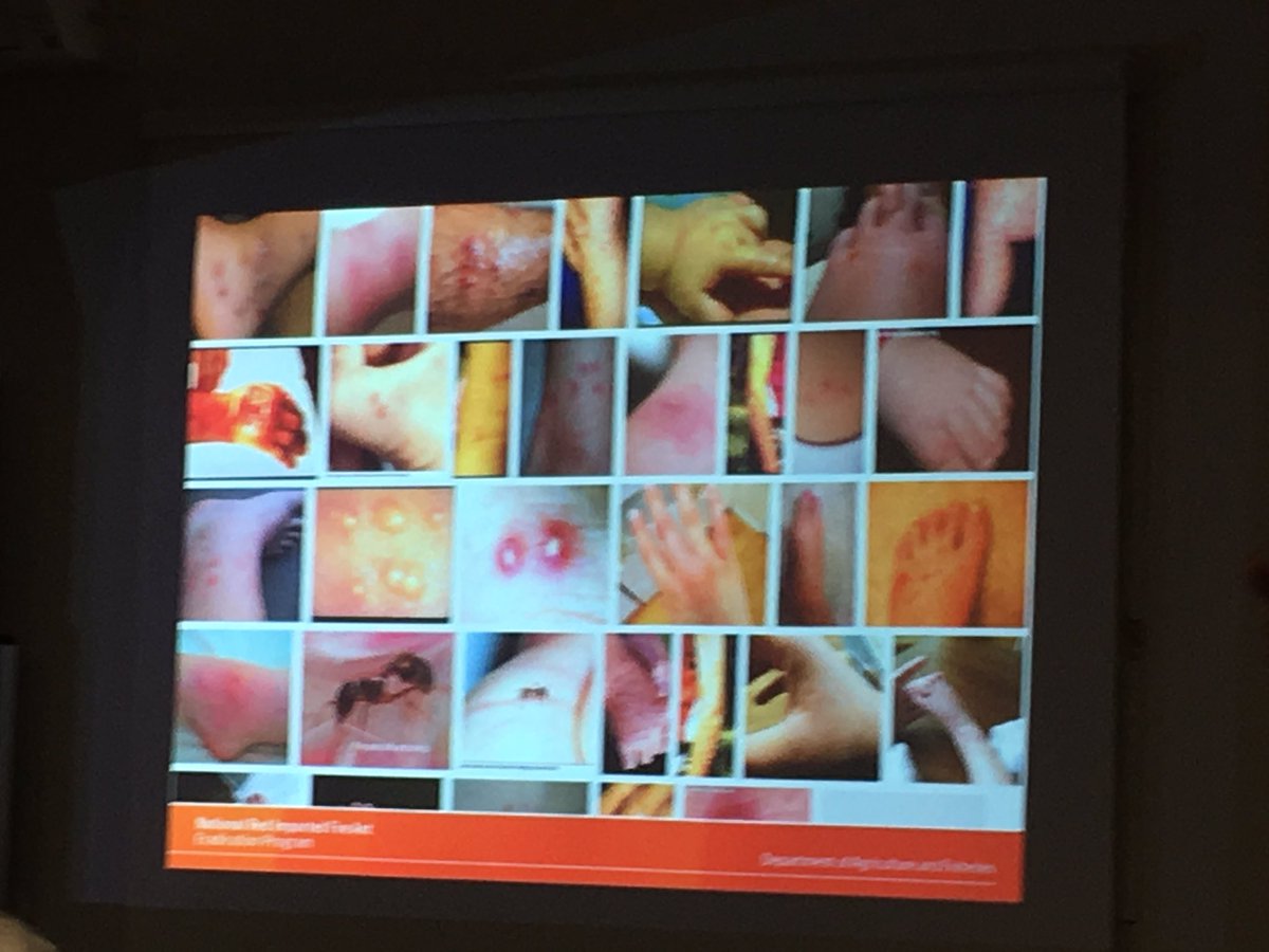 Chris_Horacek's tweet photo. At #CWCN in Kenmore listening to Dr Ross Wylie Science Manager for the Biosecurity Queensland Control Centre talking about the red #fireant https://t.co/5lVX1iZFKG