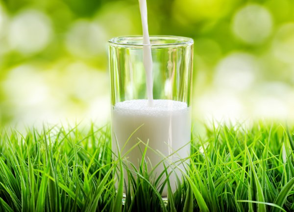 NFU_Dairy's tweet image. Health warning over lack of iodine in soya and almond drinks. Milk provides 40% of average daily intake #milkisbest dailym.ai/2hvY4y4
