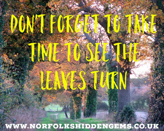 Take time, book a break. The leaves are turning autumn is here. Weekends are for walking! <a href="/WalkNorfolk/">WalkNorfolk</a> <a href="/123Adventure/">Norfolk Adventure</a>