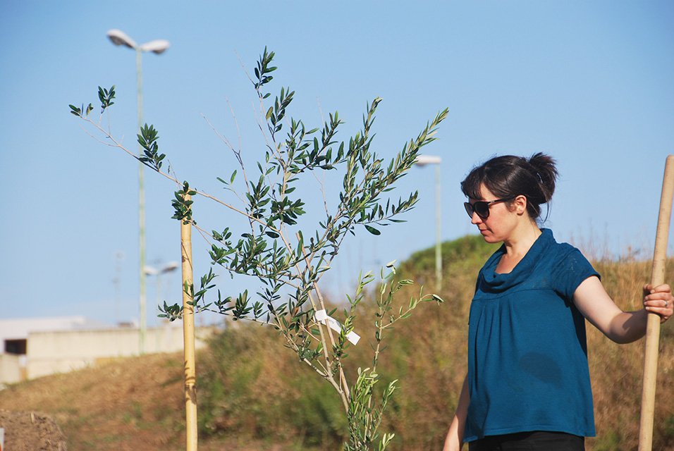 #Agoragri un esperimento unico nel suo genere a #Matera. Parco urbano, rigenerazione e agricoltura, tutto insieme! #agrinetural