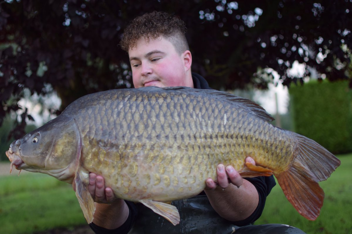 S7 two tones 👌👌