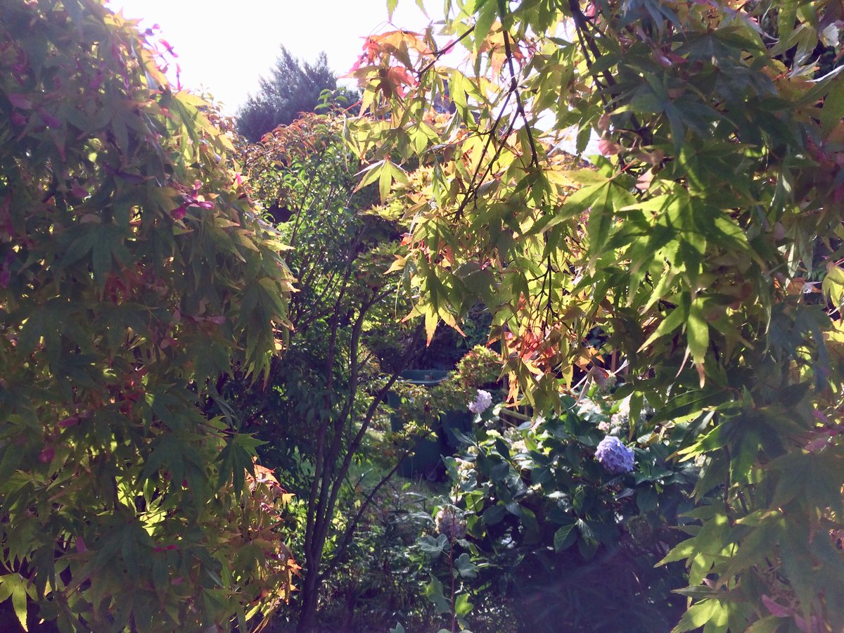 No nicer feeling when the sun breaks out from behind the clouds.