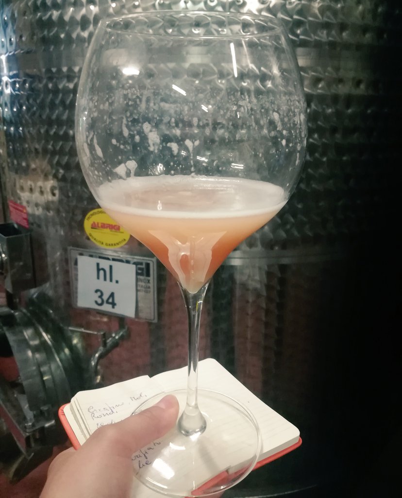 corisommelier's tweet photo. #Enprimeur #tasting of a #novelty  on its way to become a pink and perfumed, new #Valpolicella  #rosé at Vigneti di Ettore #vignetidiettore https://t.co/hj1jQRISRQ