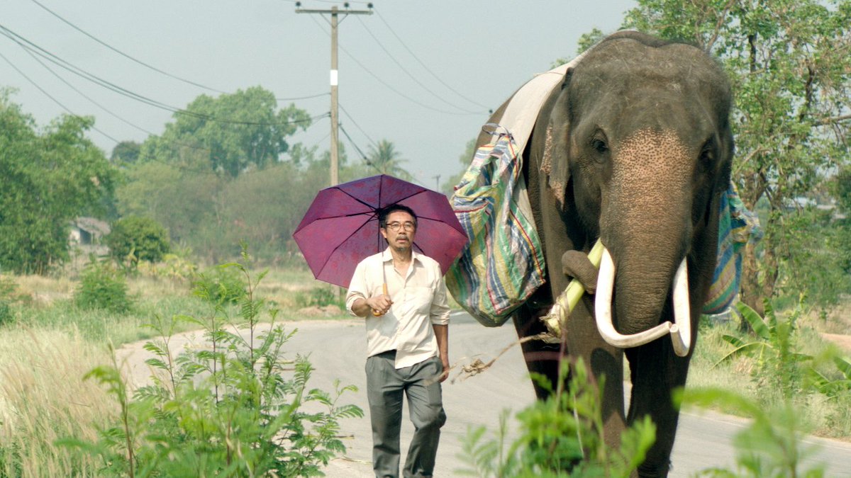 #PopAye de Kirsten Tan représentera Singapour aux #Oscars2018 pour le meilleur film étranger !