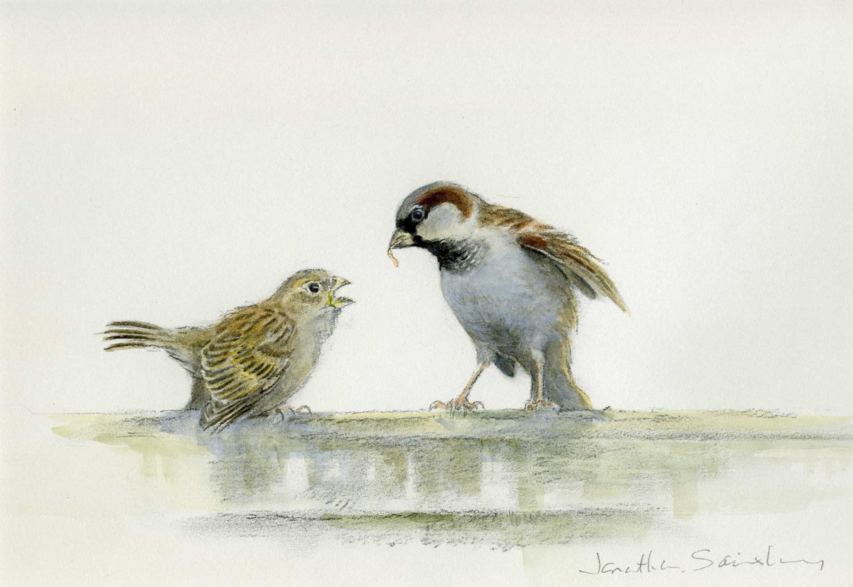 dioceseoflondon's tweet photo. Walk on the Wildside: Art by the @RedspotArtists in aid of @xlplondon 11 October. https://t.co/A1VrIu9znS https://t.co/WKBWT4Yxam