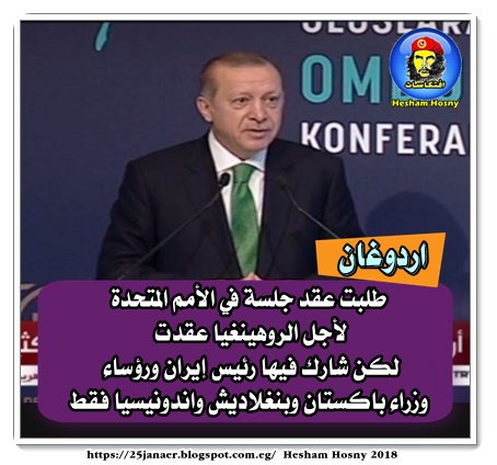 اردوغان طلبت عقد جلسة في الأمم المتحدة لأجل الروهينغيا عقدت لكن شارك فيها رئيس إيران ورؤساء وزراء باكستان وبنغلاديش واندونيسيا فقط