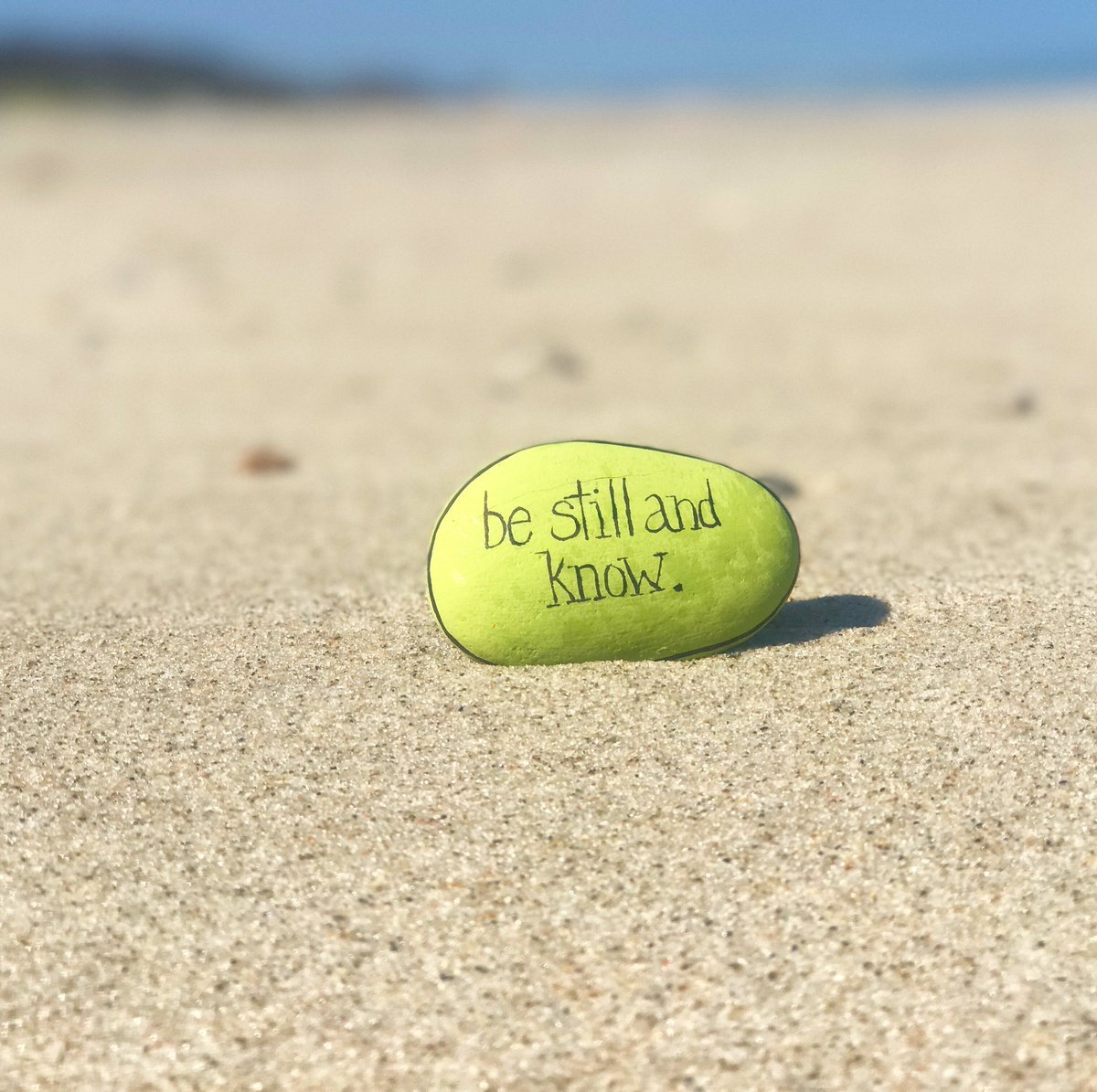 theKindnessrock's tweet image. The answer lies within.
#thekindnessrocksproject