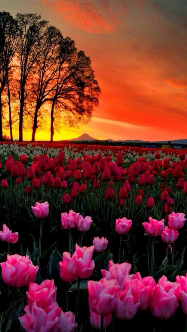 yasir553377's tweet image. 