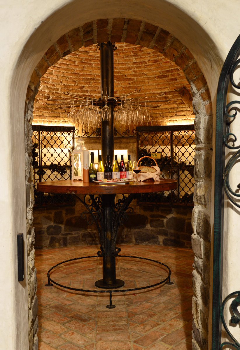 Would you like to visit our cellar? 😀🍾🥂🍷
#winelover #wine #winetime #cellar #ourworkisourpassion #drinkwine #blogger #wineblogger #buzinel