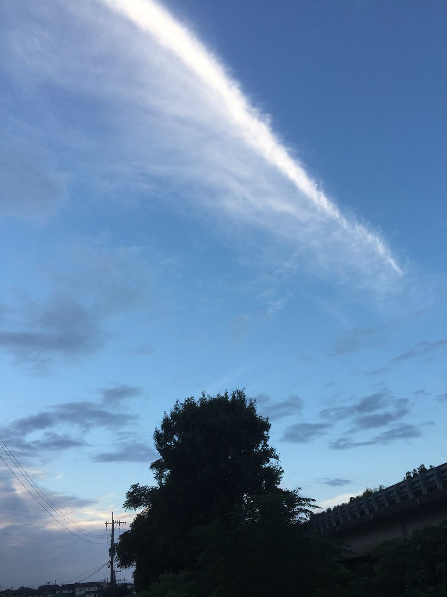 久々の投稿です✋