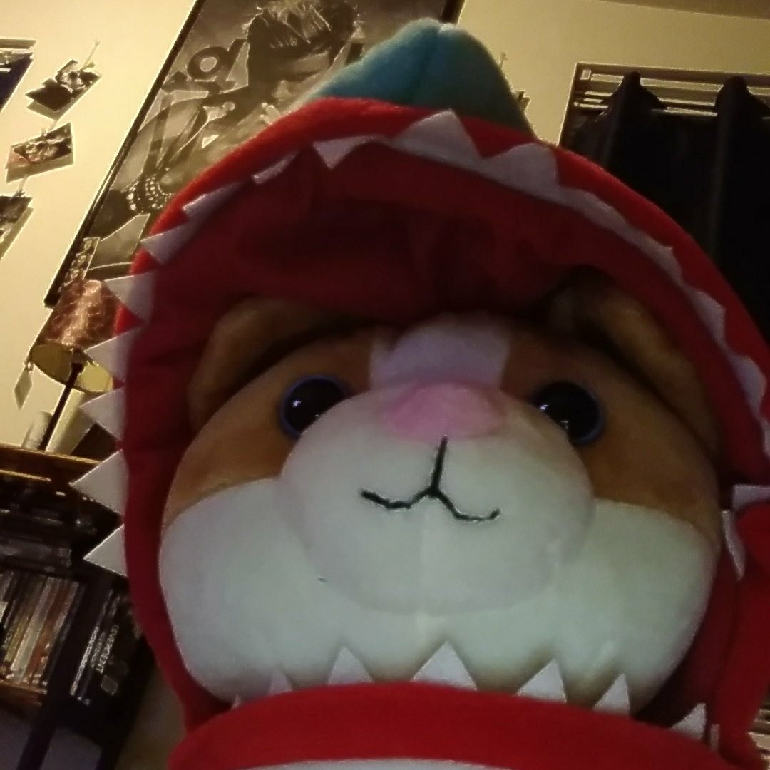 mr paws plush toy