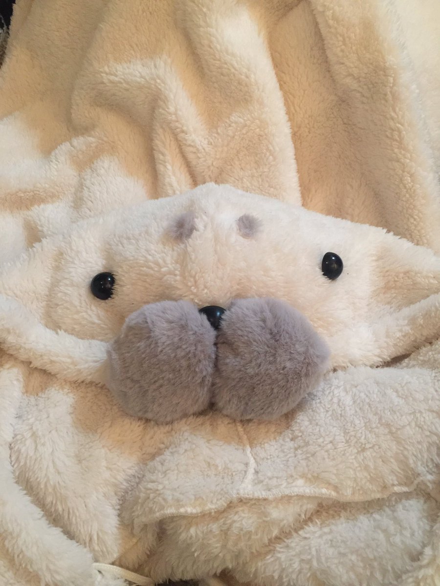 注目の福袋をピックアップ! アザラシ 着ぐるみ 寝袋 ✨美品 - 寝袋