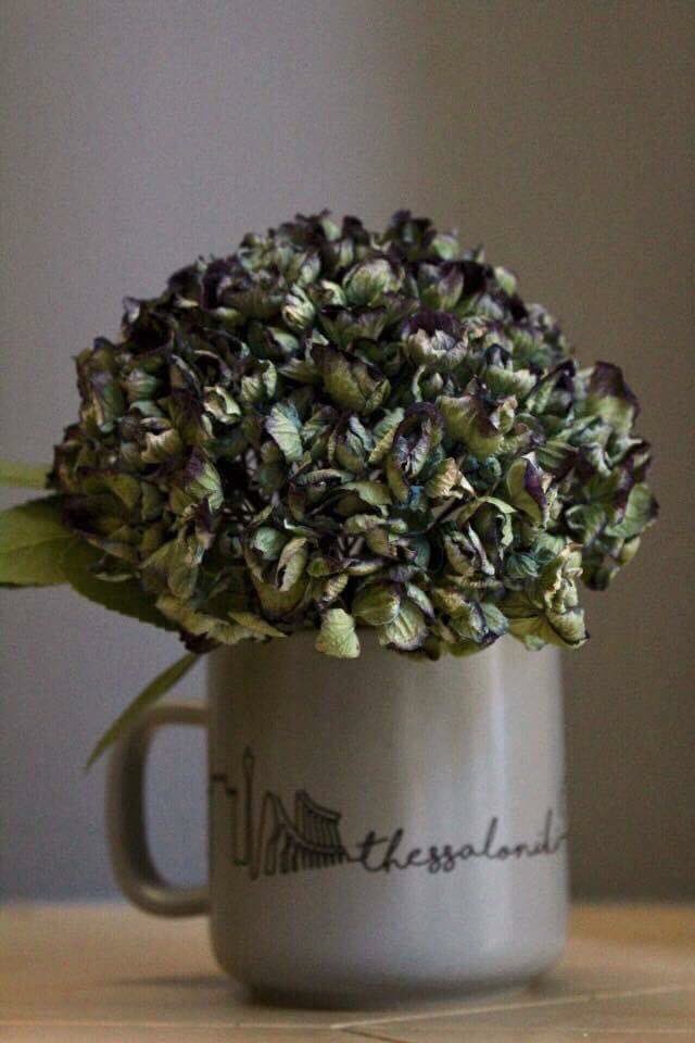 hellofrom_gr's tweet image. Hello autumn!
Travel where art and beauty meet and where unique aesthetic experiences become part of everyday life.

#hellofrom #giftshop