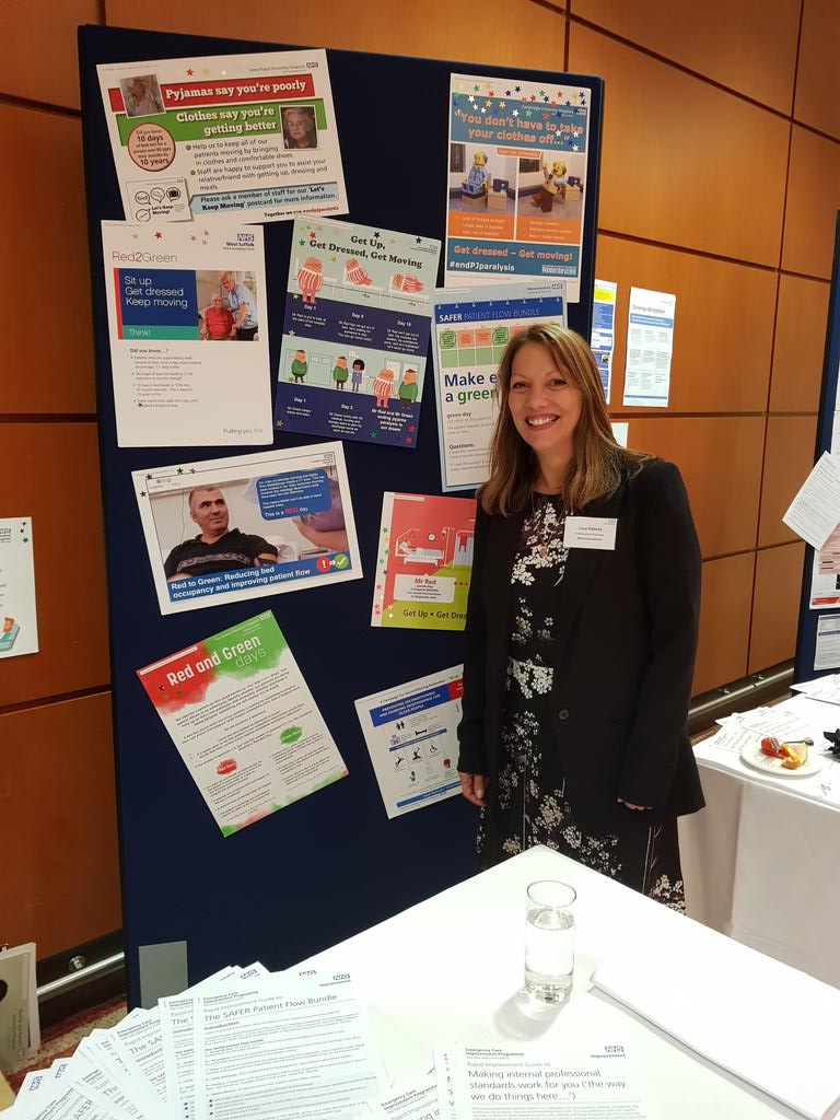 Discussing #SAFER and #Red2Green with systems at #ECIPconf17 <a href="/LucyRob74929929/">Lucy Roberts</a>