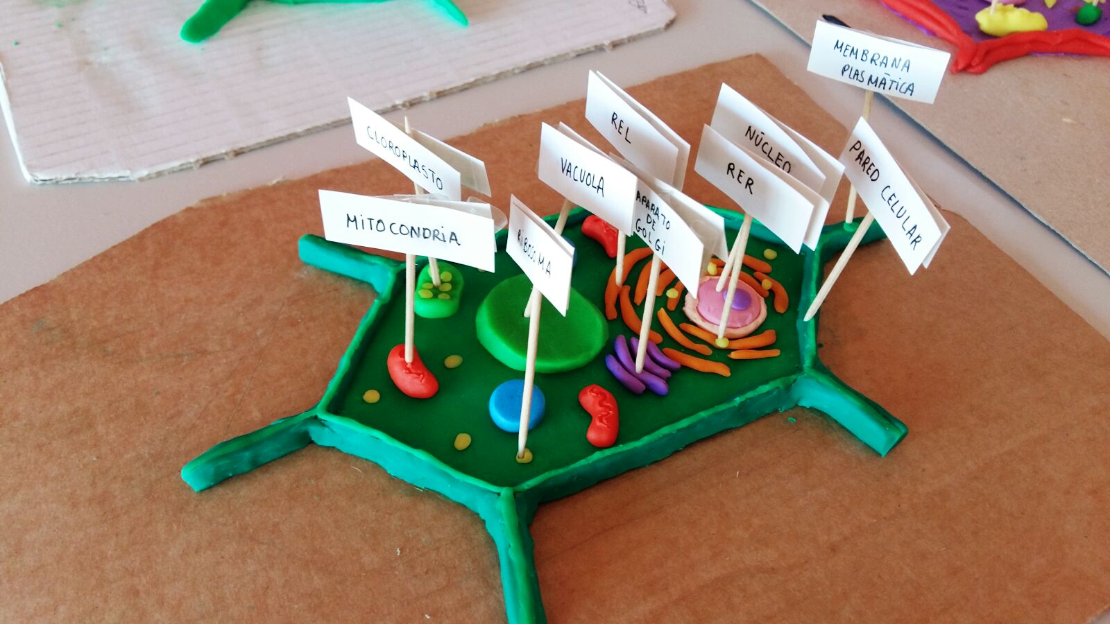 توییتر \ salesianoshuesca در توییتر: «Alumnado de #ESO4 creando una maqueta  con plastilina de una #célula eucariota: animal y vegetal #ciencia #science  #learningbydoing /vxcvLgA6Ve»