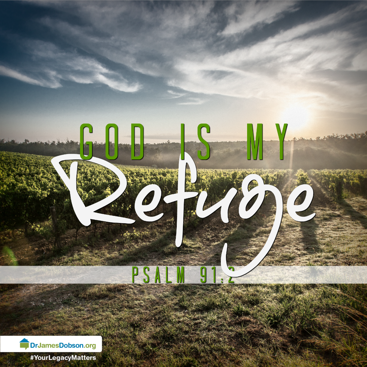 DrJamesDobsonFT's tweet photo. God is my refuge! #Bible #TrustGod https://t.co/lqa9yZfk1b