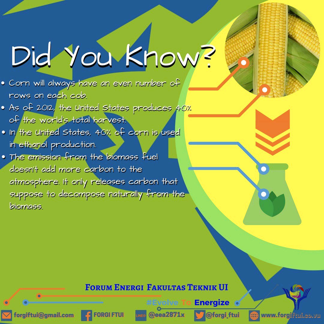 FORGI FTUI tweet media
