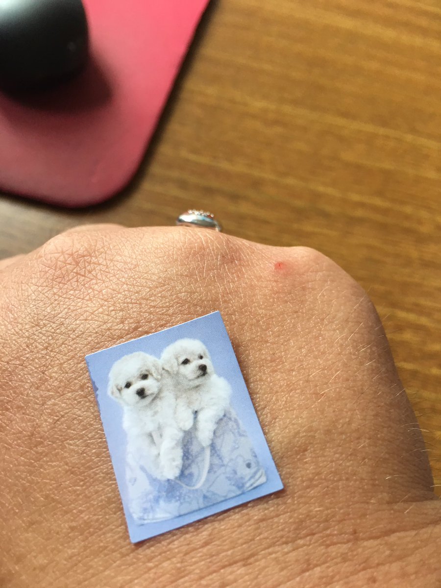 WelshRedKnight's tweet image. When you walk into a first grade classroom and a girl wants to share her stickers - teaching kindness #LCSRedKnights