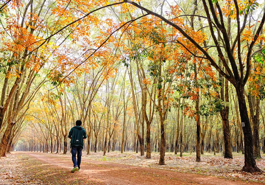 LoriShemek's tweet image. Being active saves lives whether a gym workout, walking to work or washing the floor sciencedaily.com/releases/2017/…  #exercise #health #research