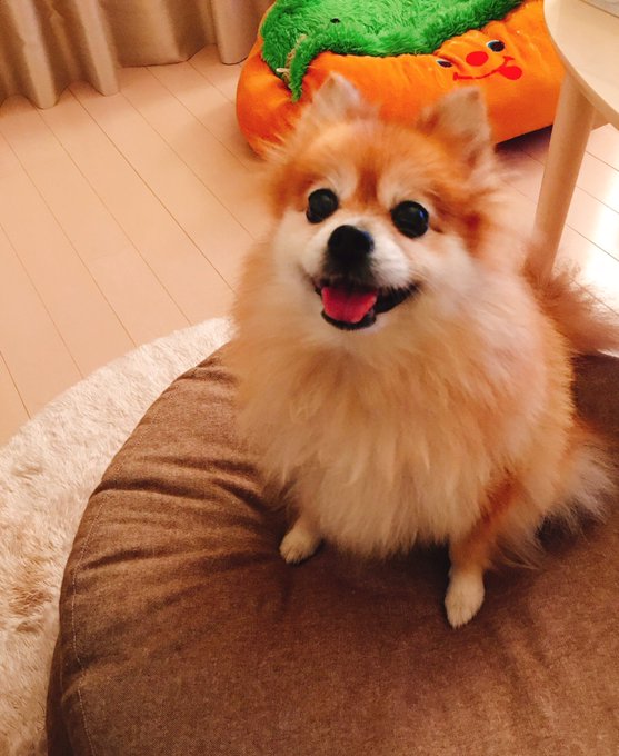 岩男潤子 Iwaojunko 17年09月 Twilog