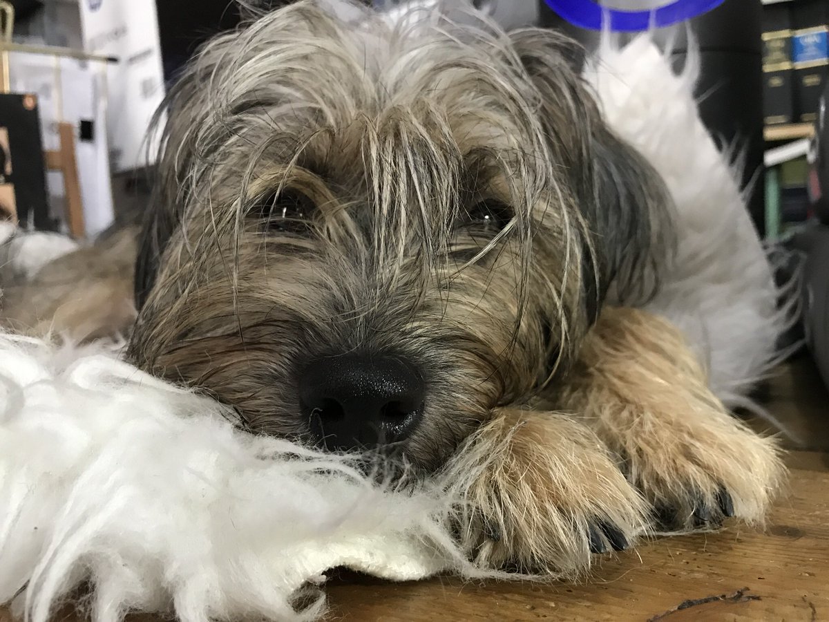 JeffTakesOff's tweet photo. I’m helping Human in the Lookout Library #DesktopAssistant #LoveLondon https://t.co/WxGhyRe4pI