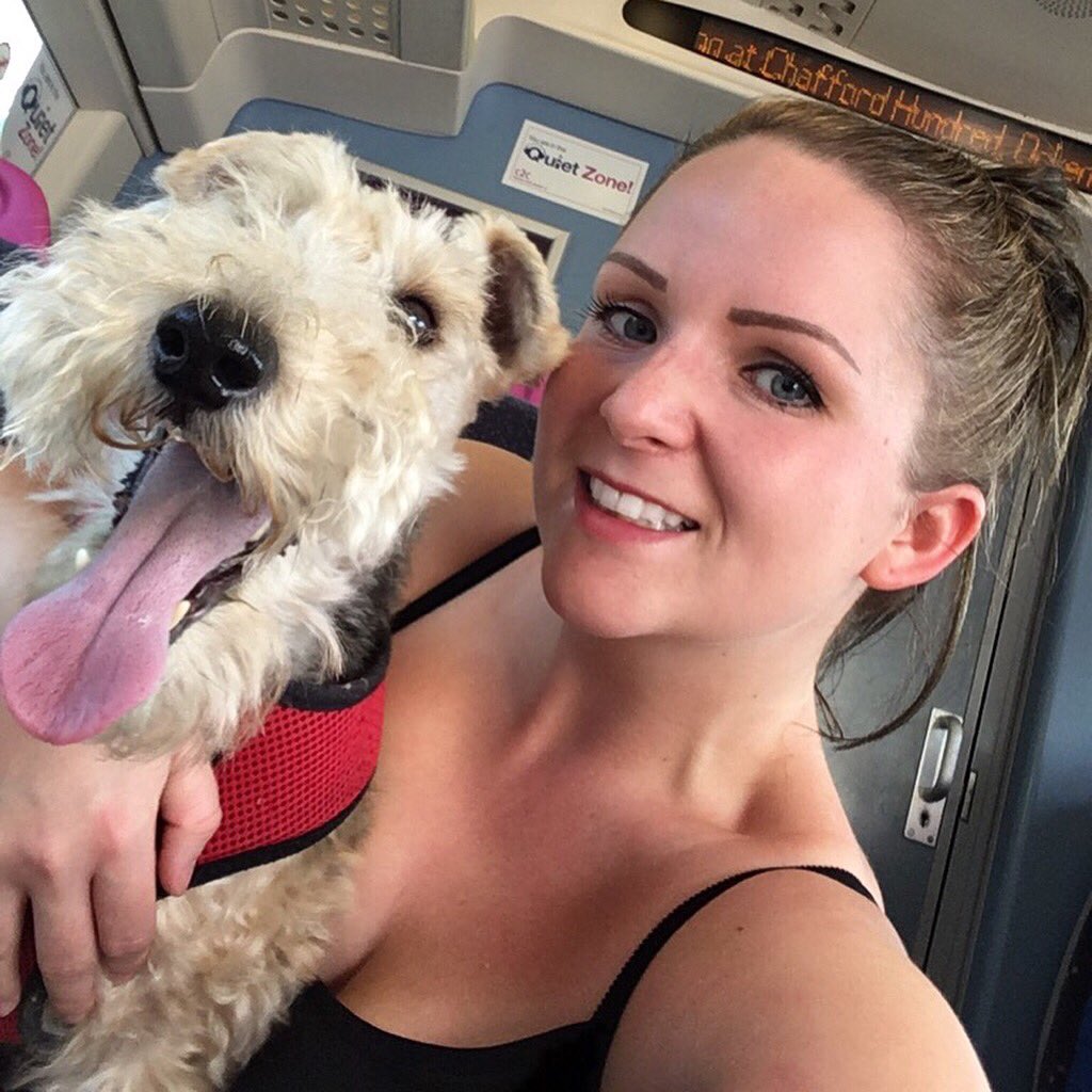 RumpledPupkins's tweet image. En route to London for my special photoshoot with a certain vintage floral brand.. all will be revealed soon! #modeldog #handsomeboy