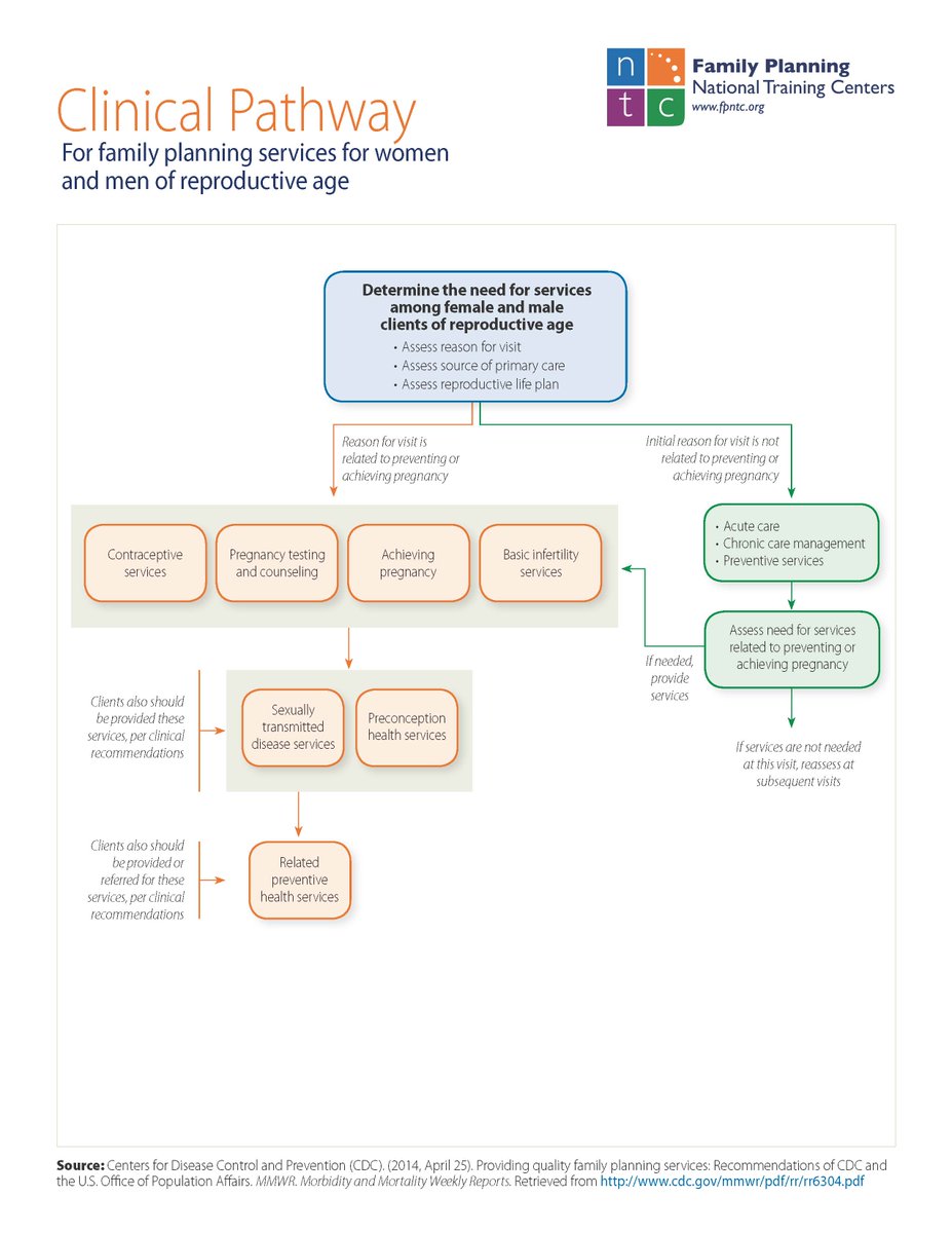 download protozoal