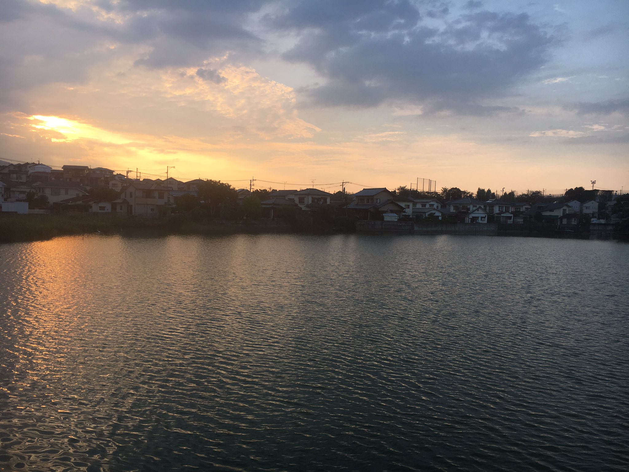 堀内てつお 夕方は 東花畑で集い 住民要求実現のために 知恵を出しあい学びました 参加者の中で一番勉強になったのは たぶん 私でしょう これからさらに研究しなくっちゃ 頑張りましょう