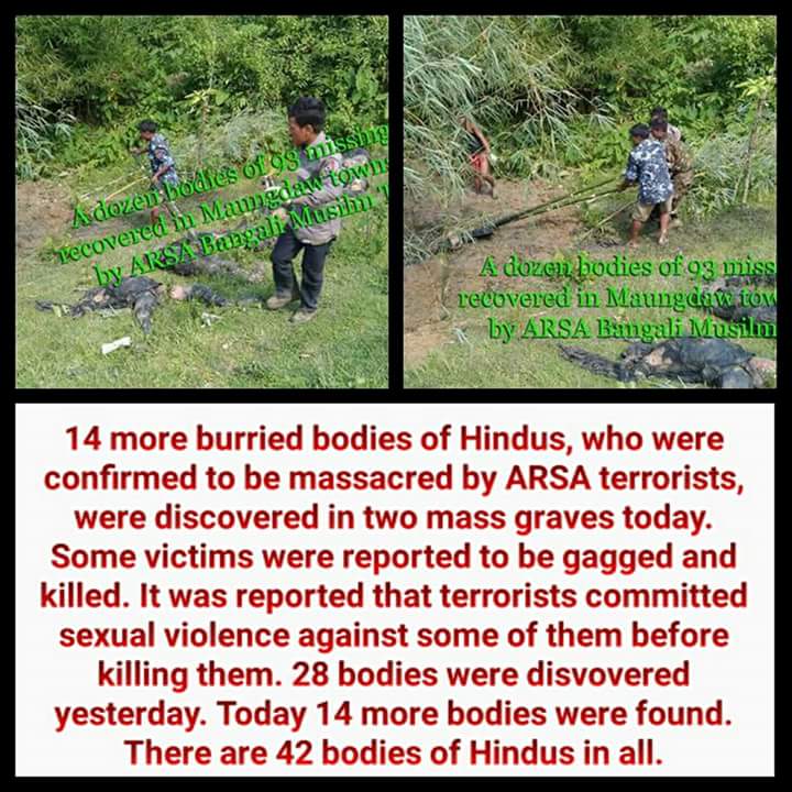 17 More Hindus Dead bodies who were killed by ARSA found in Northern Rakhine, total of Hindus dead bodies reached to 45 Now.