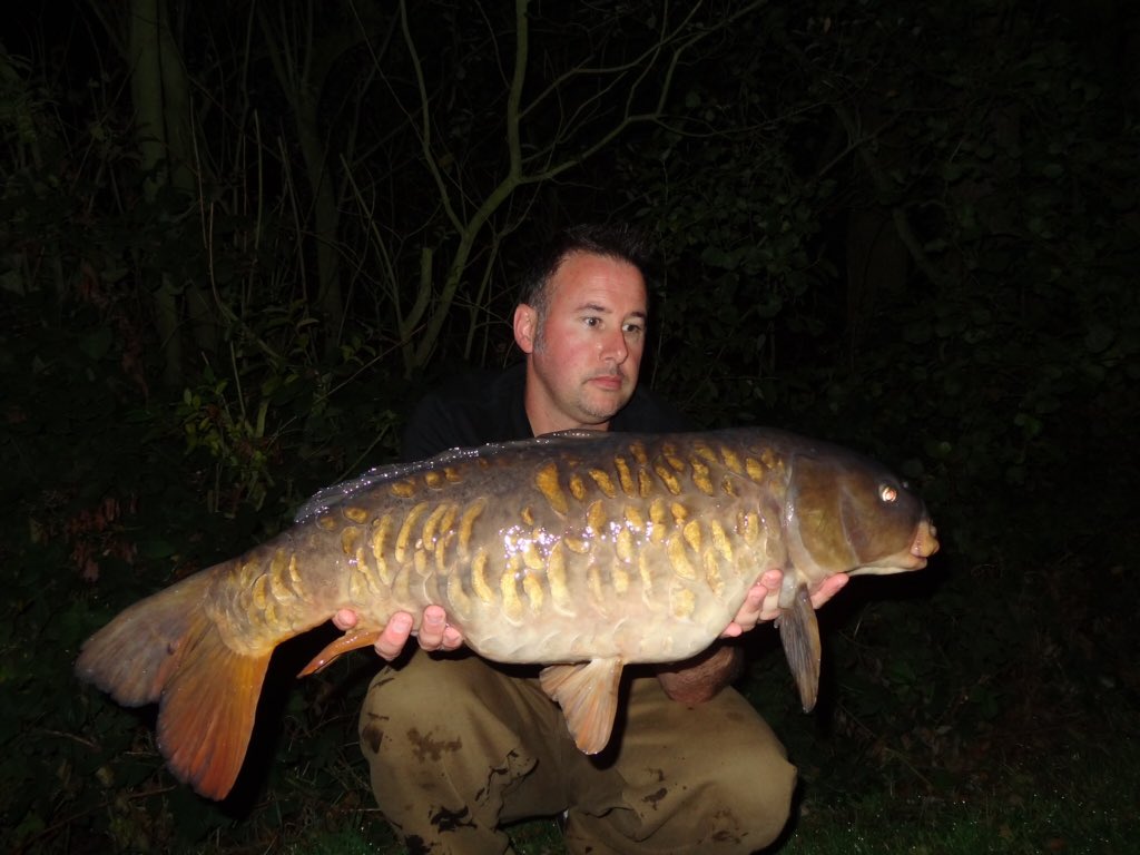 Peakangling's tweet photo. A local Syndicate brace from a overnighter this week. On the @RGBaitsUK plum #peakanglingproducts https://t.co/KjoTAEBRTe