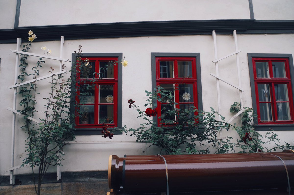 Macaroni_0874's tweet photo. おとぎ話の世界のような

#ファインダー越しのわたしの世界 #写真好きな人と繫がりたい #写真 #ふぉと #旅写 #カメラ女子 #エアフルト #ドイツ #留学 #Germany #Deutschland #photoglaphy #fotografie #Erfurt https://t.co/N96QGX48in